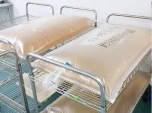 Sterilizzazione e preparazione dei terreni di coltura