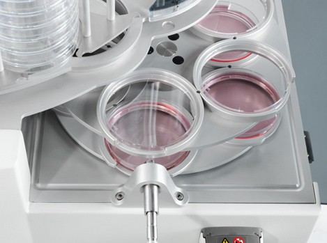 Systec Mediafill con capsule Petri