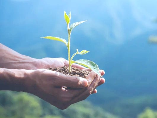 Systec Company: Essere attenti all'ambiente